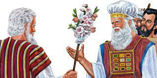 La vara de Aarón florece