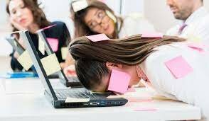 EDAD CONTEMPORÁNEA AÑO 2008