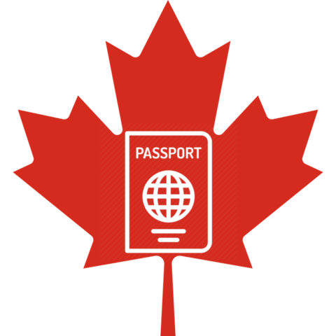 Adoption of the IRPA