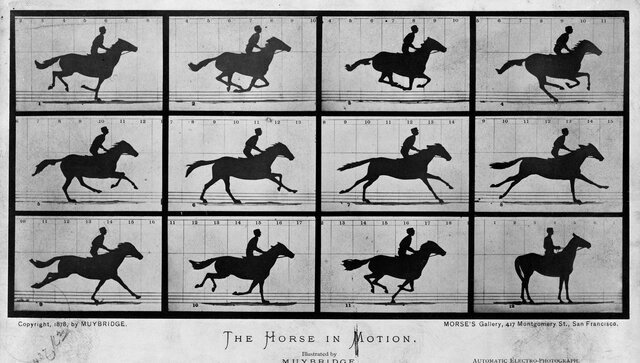 The Horse in Motion