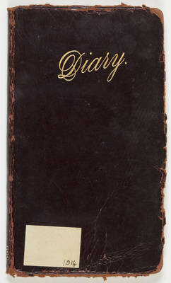 Elise's Diary Entry #1