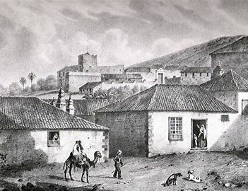 La agricultura y la ganadería son las principales actividades económicas de Adeje, con la producción de cereales, papas y vino como cultivos destacados.