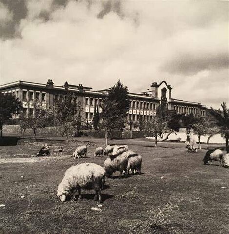 La creación de la Universidad de La Laguna en Santa Cruz supone un importante hito en la historia social del municipio, que se convierte en un centro de enseñanza superior y de investigación.