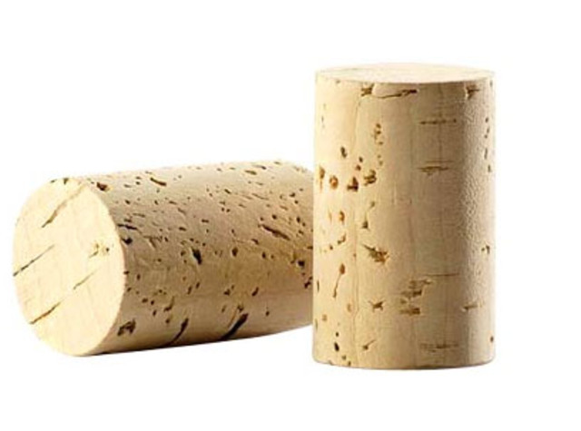 Robert Hooke looks at a slice of cork through a microscope