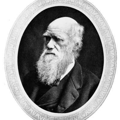 Timeline: Charles Darwin 1809 - 1882