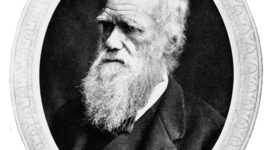 Timeline: Charles Darwin 1809 - 1882