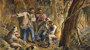 Nat Turner's rebellion