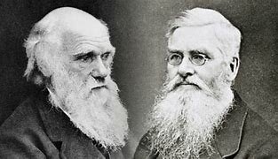 Concluding Their Findings