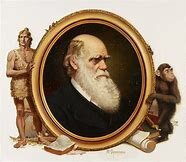 Death of Darwin