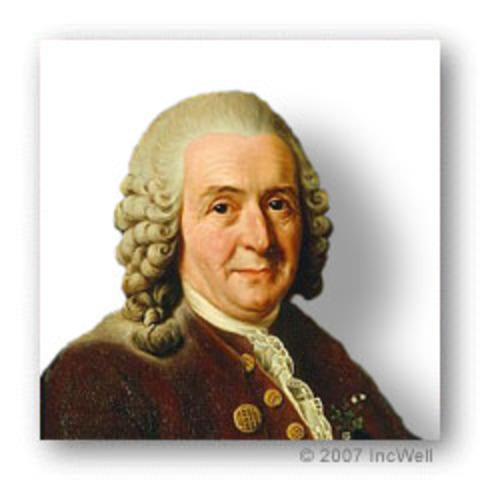 Carolus Linnaeus