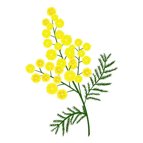 1°FESTA DELLA DONNA NELL'ITALIA LIBERA