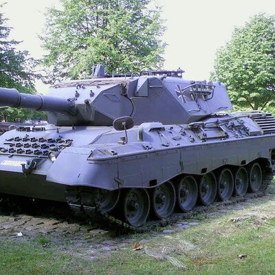 Timeline: Evolution of the Leopard