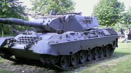 Timeline: Evolution of the Leopard