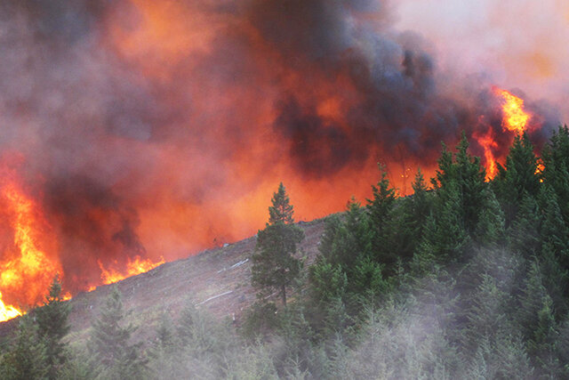 Wild fires caused by global warming