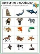 Animales terrestres