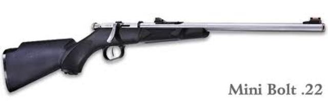 Got a 22 rifle for my B-Day