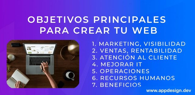 Cuales son tus objetivos con la pagina web