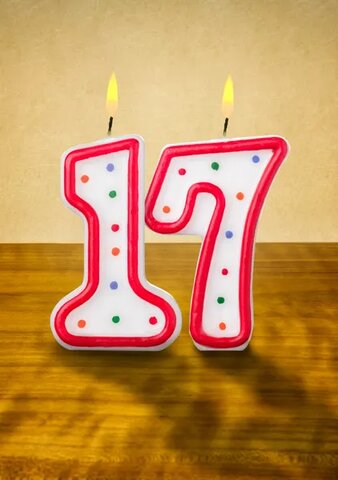 Mis Diecisiete Años