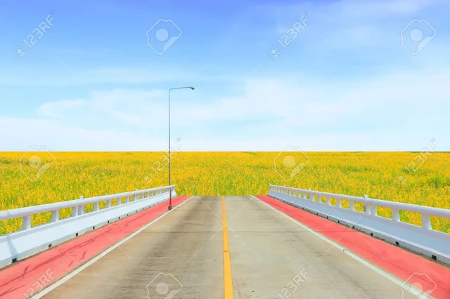 Culminación de la secundaria