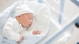 Timeline: mi linea de tiempo