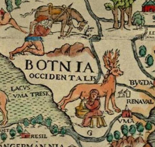 Tamreindrift i utvikling (Sápmi)