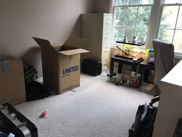 Moved into An Apartment