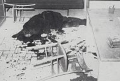 First Mafia War: Ciaculli Massacre