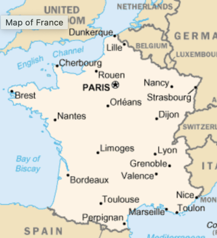 Accepted into a Medical Program in France