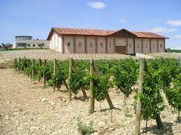 Fundación de la bodega Marco Real, en Olite.