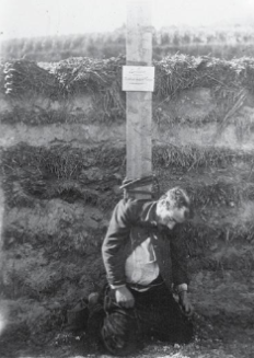 LA CRISI DEL 1917 (image)