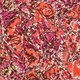 Lee krasner  inner rhythm   the thread