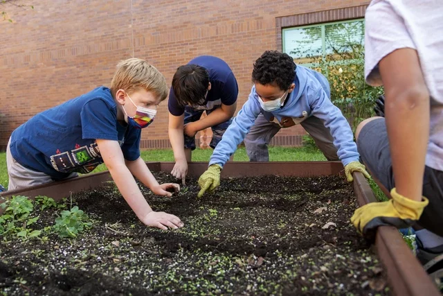 2020: Schools Turned Back to Outdoor Learning During COVID-19: ARTICLE
