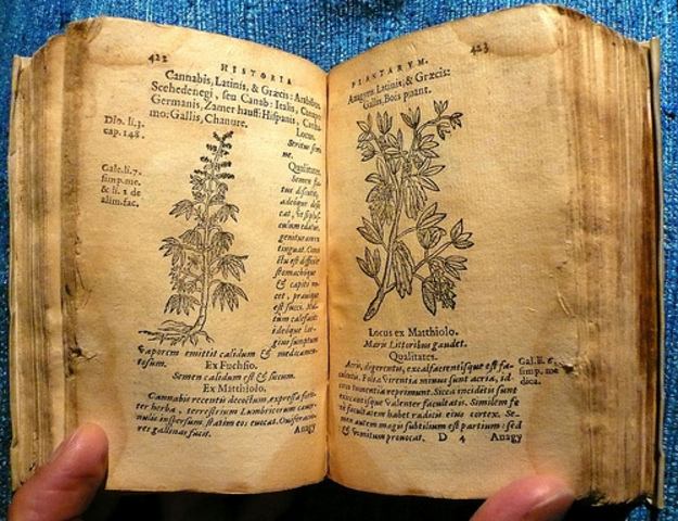 John Ray's Book