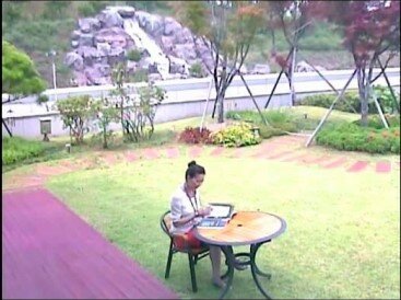 Video Graphics Array (VGA)