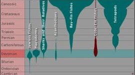 Timeline: Pre-Darwinism&extra credit!