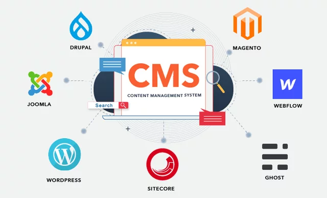 Era digital. CMS