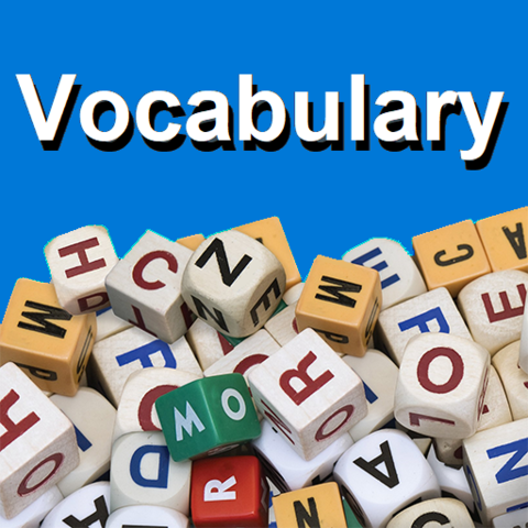 L1. VOCABULARY