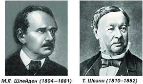 Маттіас Шлейден та Теодор Шванн сформулювали клітинну теорію