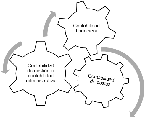Enfoques, Clasificación, Metodología 2002