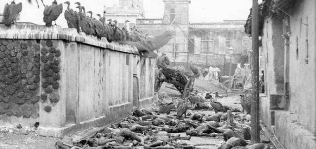 Gran Matanza de Calcuta
