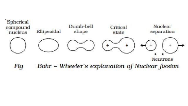 Announces the Discovery of Fission