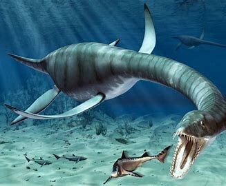 Plesiosaurs
