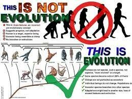 Was Evolution ever proven?