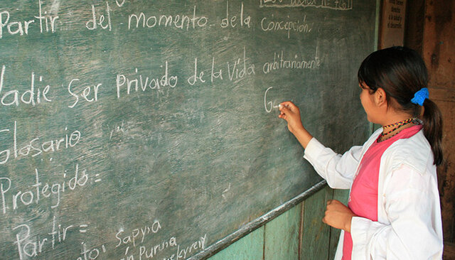 Alfabetización, Becas y Reforma del sistema de evaluación.