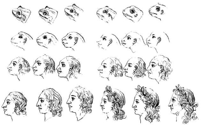 BC:Evolution in Greece