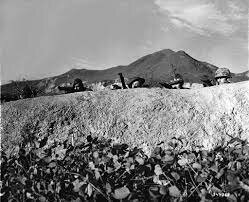 US/UN Coalition Forces Arrive