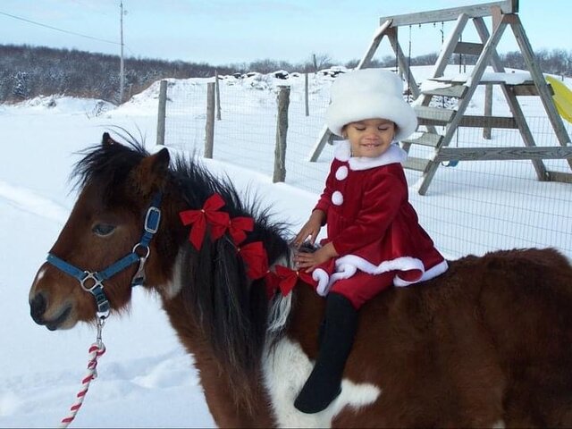 The Pre-Operational Stage (2Yrs - 7Yrs) (Piaget)