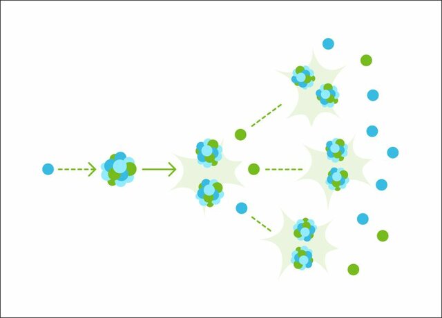 Primeras reacciones con Neutrones