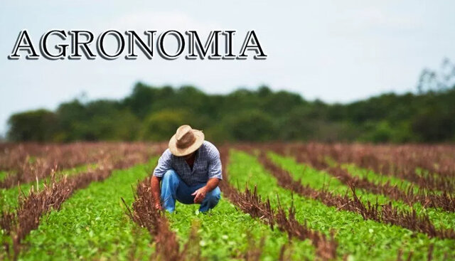 agronomía