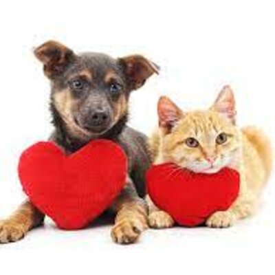 Timeline: History of Animal Rights